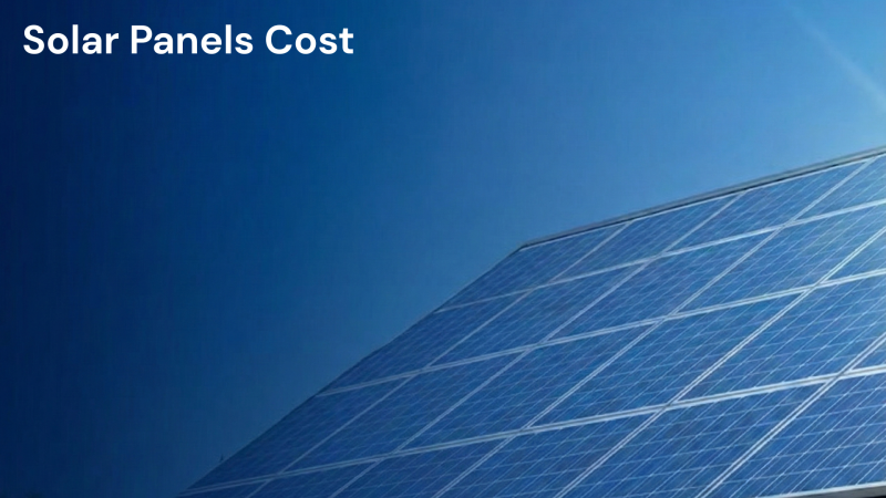 The Ultimate 2025 Guide: How Much Do Solar Panels Cost?