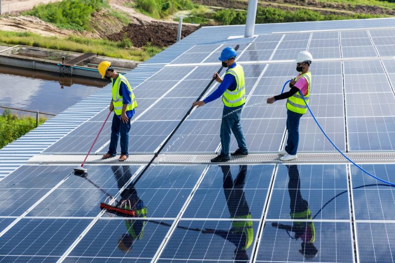 Solar panel cleaning